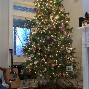 Meet your Posher, Kerry